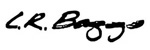 L.R. Baggs